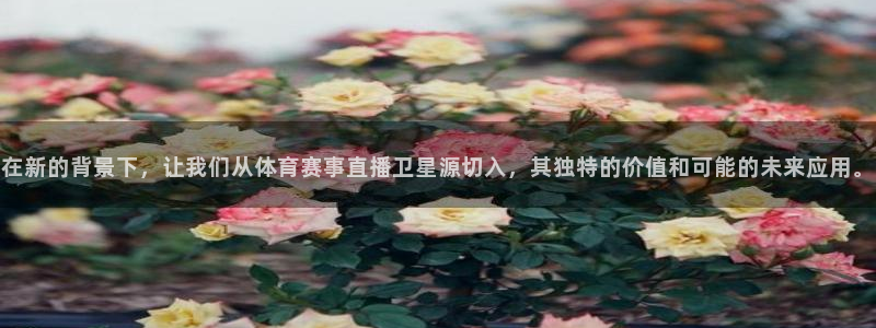 nba直播视频在线观看山猫：在新的背景下，让我们从体育赛事直播卫星源切入，其独特的价值和可能的未来应用。