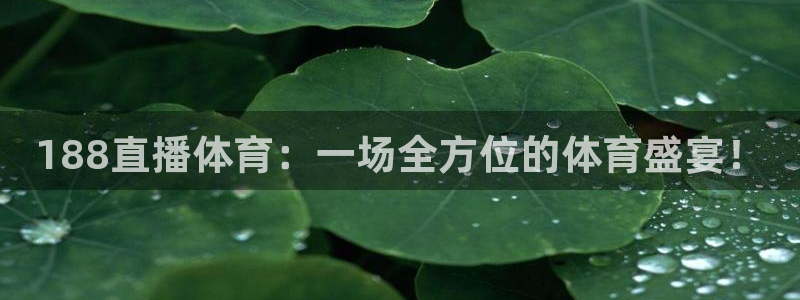山猫直播足球免费直播在线观看：188直播体育：一场全方位的体育盛宴！
