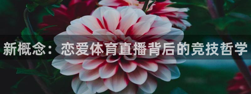 山猫体育直播nba：新概念：恋爱体育直播背后的竞技哲学