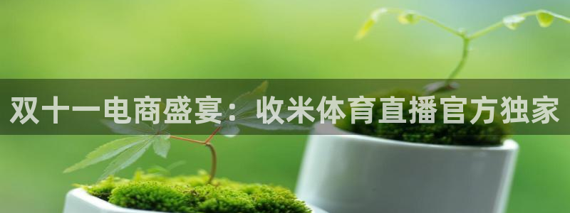 nba山猫直播在线观看免费：双十一电商盛宴：收米体育直播官方独家
