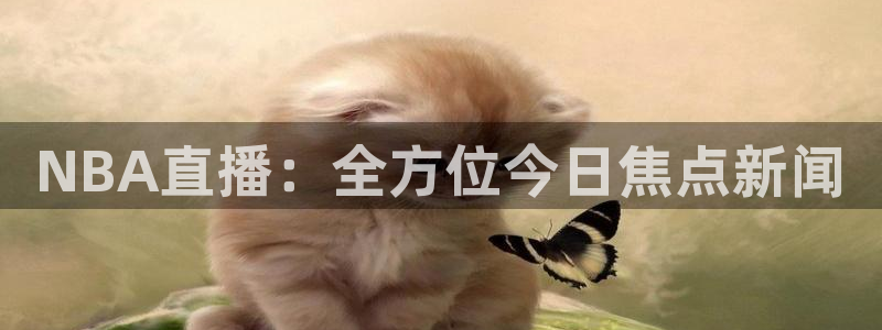 山猫足球直播在线直播观看：NBA直播：全方位今日焦点新闻