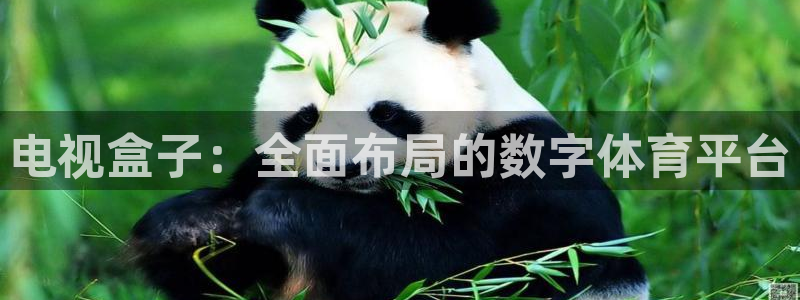 山猫直播在线观看视频：电视盒子：全面布局的数字体育平台
