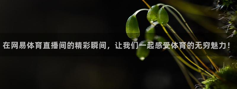 nba直播视频在线观看山猫：在网易体育直播间的精彩瞬间，让我们一起感受体育的无穷魅力！