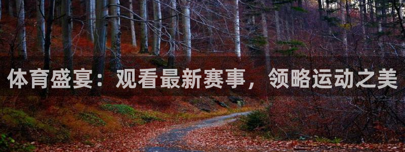 山猫直播体育官网：体育盛宴：观看最新赛事，领略运动之美