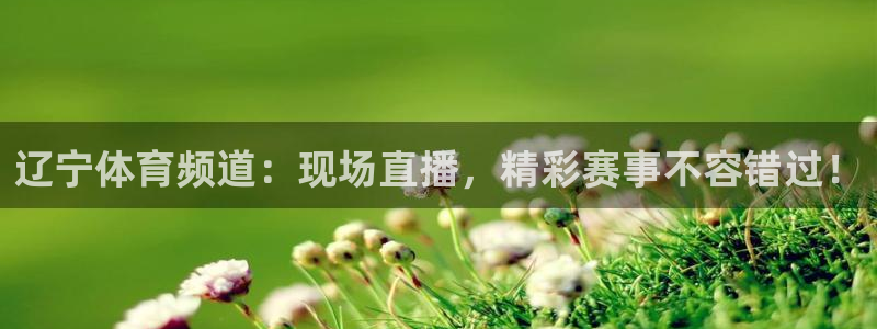 山猫nba体育直播官网：辽宁体育频道：现场直播，精彩赛事不容错过！