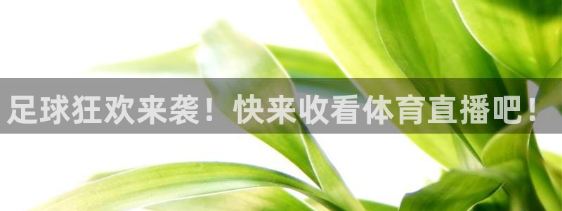 山猫直播免费篮球：足球狂欢来袭！快来收看体育直播吧！